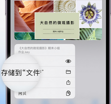 钢城apple维修中心分享iPhone文件应用中存储和找到下载文件