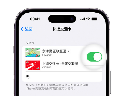 钢城apple维修点分享iPhone上更换Apple Pay快捷交通卡手绘卡面 