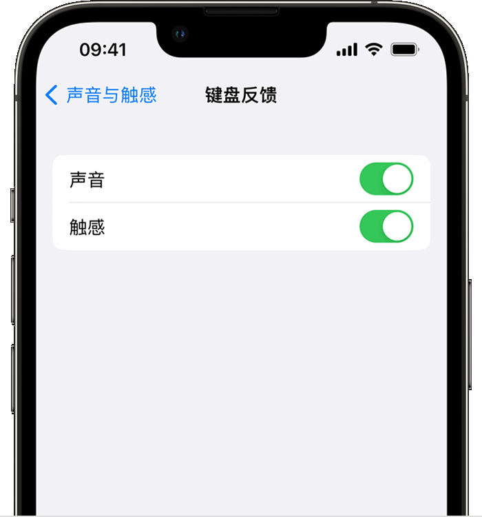 钢城苹果14维修店分享如何在 iPhone 14 机型中使用触感键盘 