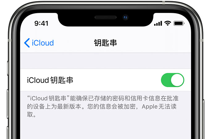 钢城苹果手机维修分享在 iPhone 上开启 iCloud 钥匙串之后会储存哪些信息 