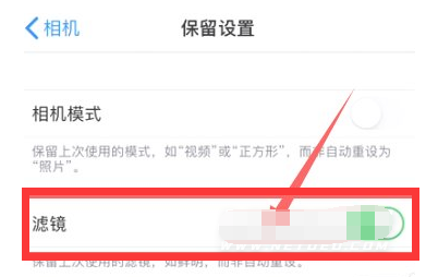 钢城苹果13维修分享iPhone13拍照有绿点是怎么回事 