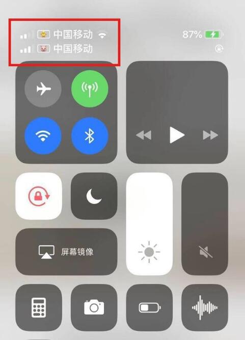 钢城苹果手机维修分享为 iPhone 12 双卡设置标签 